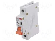 Circuit breaker; 230/400VAC; Inom: 6A; Poles: 1; Charact: C; 6kA LS ELECTRIC