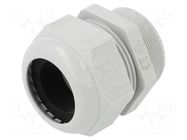 Cable gland; without nut; M50; 1.5; IP68; polyamide; light grey TE Connectivity