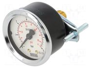 Manometer; 0÷6bar; G 1/4",rear connection; 50mm; Temp: -20÷60°C PNEUMAT