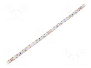 LED tape; white cold; 2835; LED/m: 60; 6mm; white PCB; IP20; 120° IPIXEL LED
