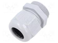 Cable gland; without nut; M25; 1.5; IP68; polyamide; light grey TE Connectivity