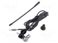 Antenna; 0.25m; AM,FM; universal; rubber mast; 2.5m MTA