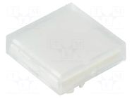 Actuator lens; 22mm; 61; transparent; plastic; Dim: 20x20mm EAO