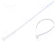 Cable tie; multi use; L: 200mm; W: 4.6mm; natural; polyamide; 216N TIE10