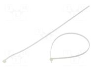 Cable tie; multi use; L: 400mm; W: 4.6mm; natural; polyamide; 216N TIE10