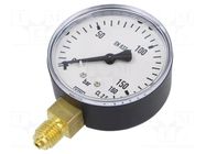 Manometer; 0÷160bar; M12x1,5,bottom connection; 63mm; plastic PNEUMAT