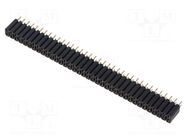 Connector: pin strips; socket; female; PIN: 72; BL 2; 3A; 125V; THT FISCHER ELEKTRONIK