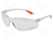 Safety spectacles; Lens: transparent AVIT