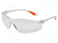 Safety spectacles; Lens: transparent AVIT