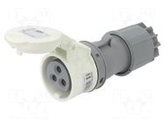 Connector: AC supply; plug; female; 16A; IEC 60309; IP44; PIN: 3 PCE