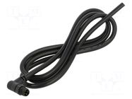 PIN: 3; male AMPHENOL LTW