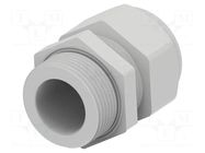 Cable gland; without nut; PG16; IP68; polyamide; light grey TE Connectivity