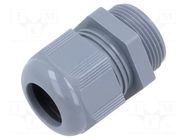 Cable gland; without nut; PG21; IP68; polyamide; grey; Entrelec TE Connectivity