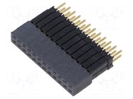 Connector: pin strips; socket; male; PIN: 24; straight; THT; 2.54mm SAMTEC