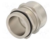 Cable gland; without nut; PG36; IP68; brass; Entrelec TE Connectivity