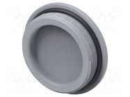 Stopper; M40; 1.5; IP68; polyamide; grey; Entrelec; Thread: metric TE Connectivity