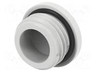 Stopper; PG7; IP68; polyamide; light grey; Entrelec; Thread: PG; 6mm TE Connectivity