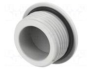 Stopper; PG13,5; IP68; polyamide; light grey; Entrelec; Thread: PG TE Connectivity