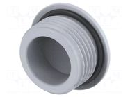 Stopper; PG9; IP68; polyamide; grey; Entrelec; Thread: PG; 6mm TE Connectivity