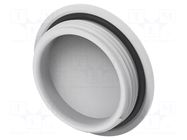 Stopper; PG29; IP68; polyamide; light grey; Entrelec; Thread: PG TE Connectivity