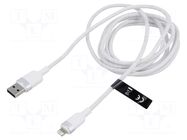 Cable; USB 2.0; Apple Lightning plug,USB A plug; nickel plated VENTION