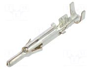 Contact; male; EL; phosphor bronze; tinned; 0.13÷0.5mm2; crimped JST