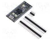 Dev.kit: STM32; prototype board; uC: STM32F401CCU KAMAMI