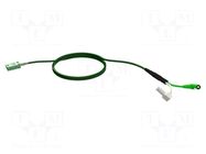 Thermocouple extension; Len: 1m; -25÷90°C; Wire dia: 4mm; 4Ω/m CHAUVIN ARNOUX