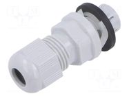 Cable gland; M16; IP66; polyamide 6; light grey; push-in HELUKABEL