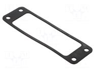 Accessory:  EPIC H-A 16 FLAT GASKET LAPP