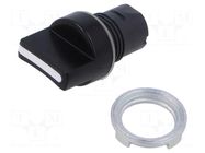 Switch: rotary; 22mm; Stabl.pos: 1; black; none; IP65; prominent EAO