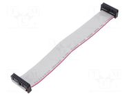 Ribbon cable with IDC connectors; Tape ph: 1.27mm; 0.2m CONNFLY