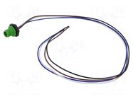 Connector: M12; socket; male; 4A; 250V; PIN: 4; IP67; straight; cables LUTRONIC