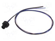 Connector: M12; socket; male; 4A; 250V; PIN: 4; IP67; straight; cables LUTRONIC