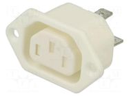 Connector: AC supply; socket; female; 10A; 250VAC; C13 (F); UL94V-0 BULGIN