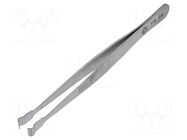 Tweezers PIERGIACOMI