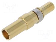 Contact; male; copper alloy; gold-plated; 12AWG÷10AWG; crimped CONEC