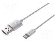 Cable; USB 2.0; Apple Lightning plug,USB A plug; 1m; white; 12W NATEC