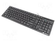 Keyboard; black; USB A; wired,slim,US layout; Len: 1.5m NATEC