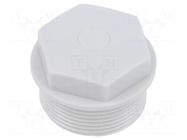 Stopper; M32; 1.5; IP54; polyamide; grey; SKINDICHT®; Thread: metric LAPP