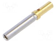 connector 43-03464 CONEC