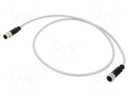 Cable: for sensors/automation; PIN: 4; plug; PVC; 1m HARTING