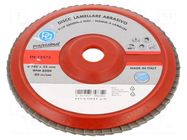 Flap grinding wheels; Ø: 180mm; Øhole: 22mm; Granularity: 120 PG PROFESSIONAL