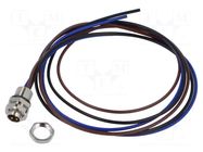Connector: M8; socket; male; 48V; 4A; PIN: 3; IP67; cables; 0.34mm2 LUTRONIC