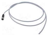 Connector: M12; plug; female; PIN: 4; straight; cables; 2m HARTING