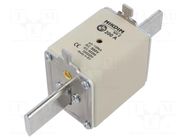 Fuse: fuse; 200A; 500VAC; gG; industrial; NH2 NIKDIM LTD