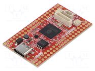 Dev.kit: Raspberry; prototype board; Comp: RP2350 OLIMEX