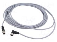 Cable: for sensors/automation; M12; PIN: 4; straight; plug; PVC HARTING