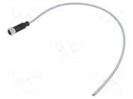 Connector: M12; plug; female; PIN: 3; straight; cables; 0.5m HARTING