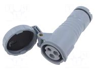 Connector: AC supply 3-phase; plug; female; PIN: 3; 16A; IP&S; IP69K AMPHENOL